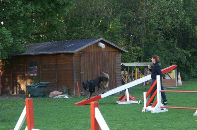 agility 2011-04